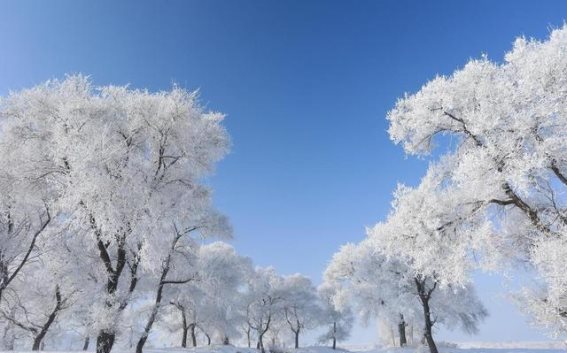 中国冰雪奇观：探秘11大雾凇胜地，冬日仙境如画