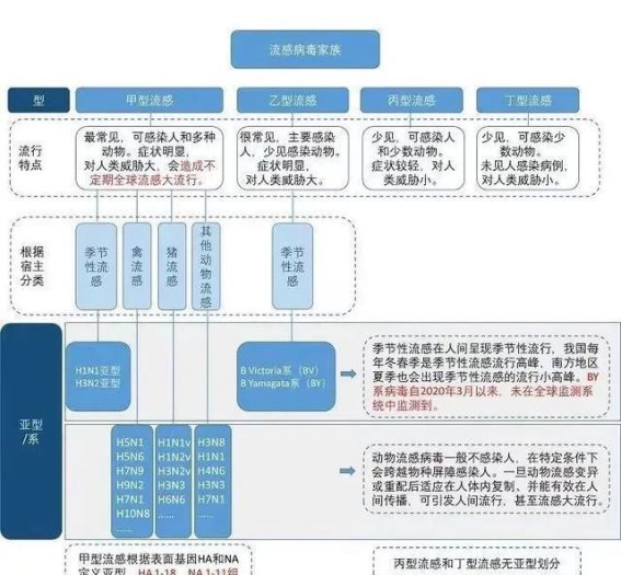 本轮流感来袭，甲流成主流，如何应对？