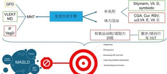 代谢相关脂肪性肝病管理的新进展：医学营养治疗的关键作用